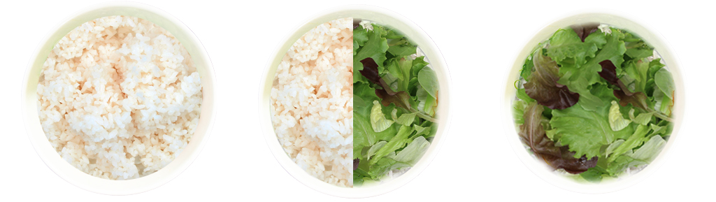 rijst en salade